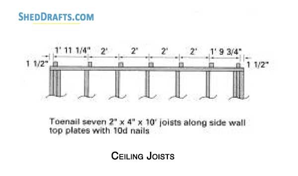 10x12 Shed Plans 08 Ceiling Joists